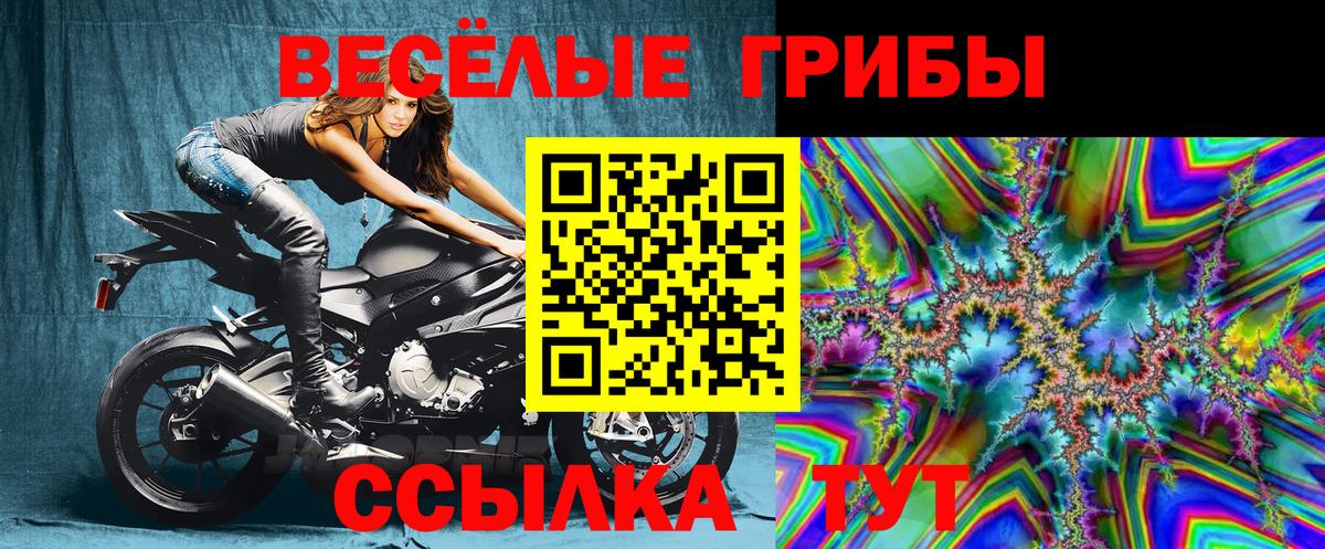 Псилоцибиновые грибы MAGIC MUSHROOMS Мценск