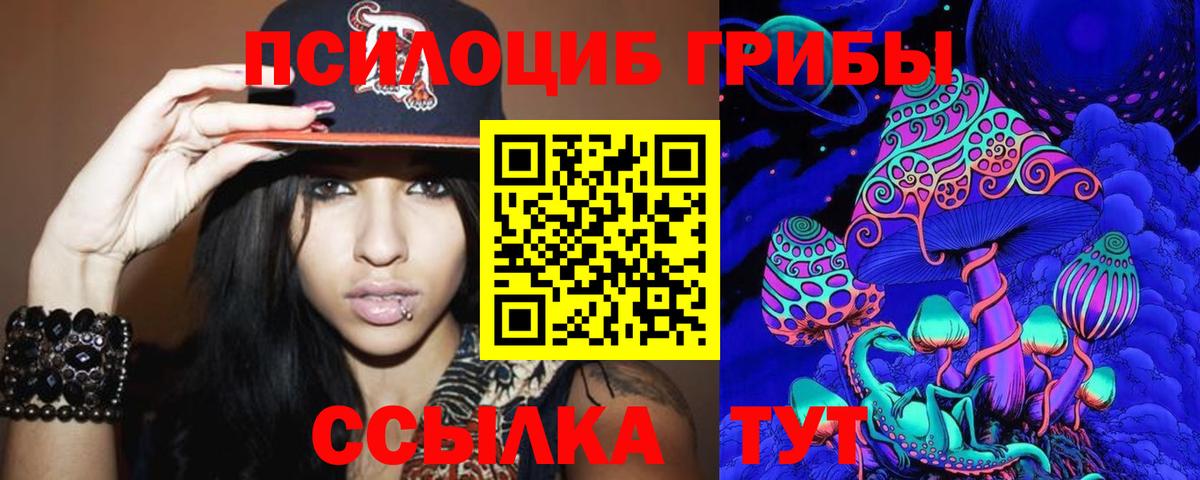 Псилоцибиновые грибы Magic Shrooms  где продают наркотики  Мценск  Вход с VPN  Галлюциногенные грибы Psilocybe 